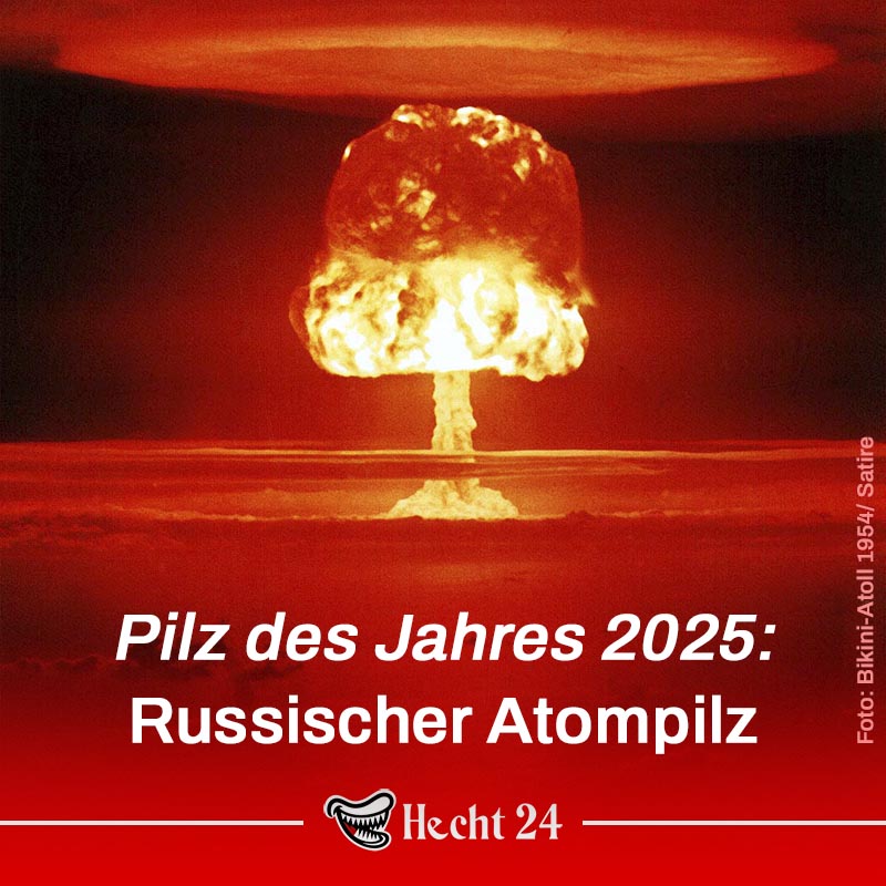russischer atompilz hecht 24 satire rechts